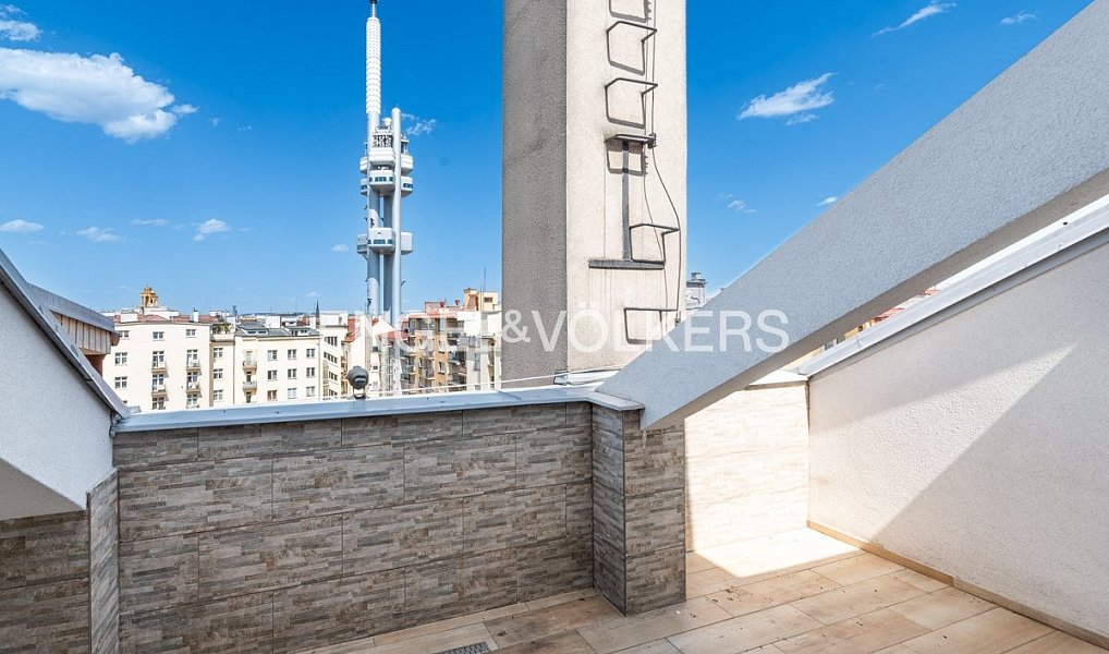 Pronájem bytu 4+kk 150 m², Praha – náhled fotky 16
