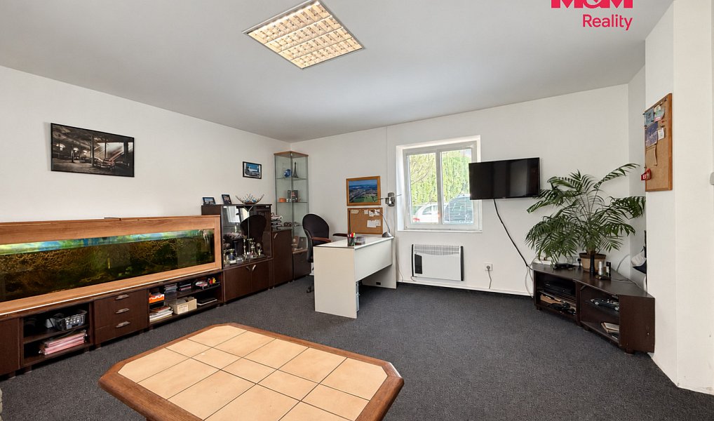 Prodej obchodních prostor 252 m², Týn nad Vltavou – náhled fotky 9