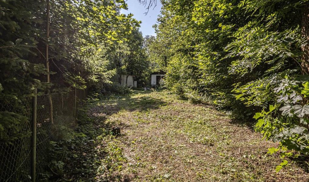 Prodej stavebního pozemku 1 277 m², Bořetín – náhled fotky 13