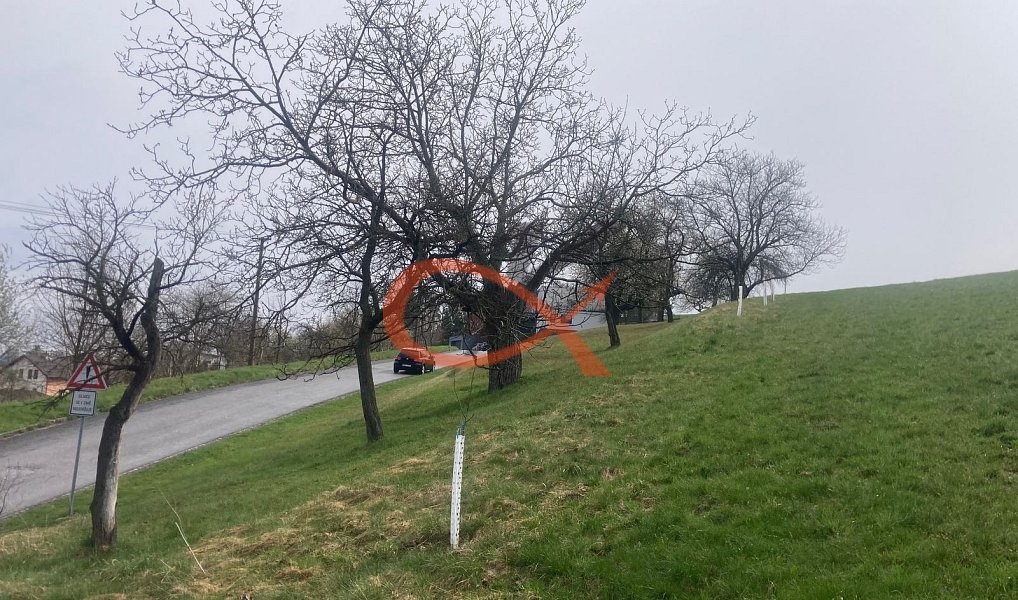 Prodej stavebního pozemku 9 208 m², Háj ve Slezsku – náhled fotky 14