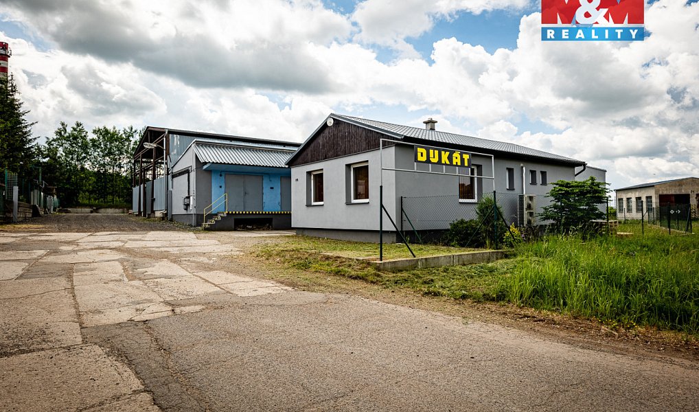 Prodej obchodních prostor 4 001 m², Veselí nad Lužnicí – náhled fotky 3
