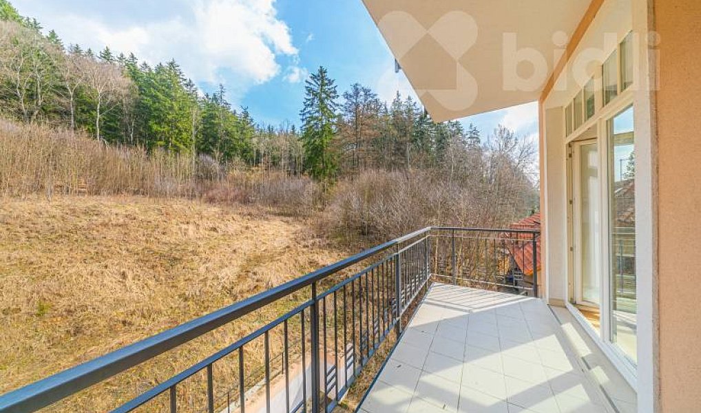 Prodej bytu 4+kk 192 m², Mariánské Lázně – náhled fotky 12