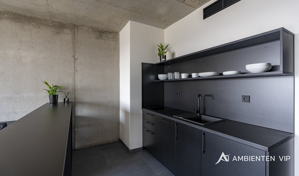 Pronájem bytu 1+kk 38 m², Brno – náhled fotky 12