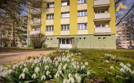 Prodej bytu 3+1 71 m², Dr. M. Horákové, Písek - Budějovické Předměstí