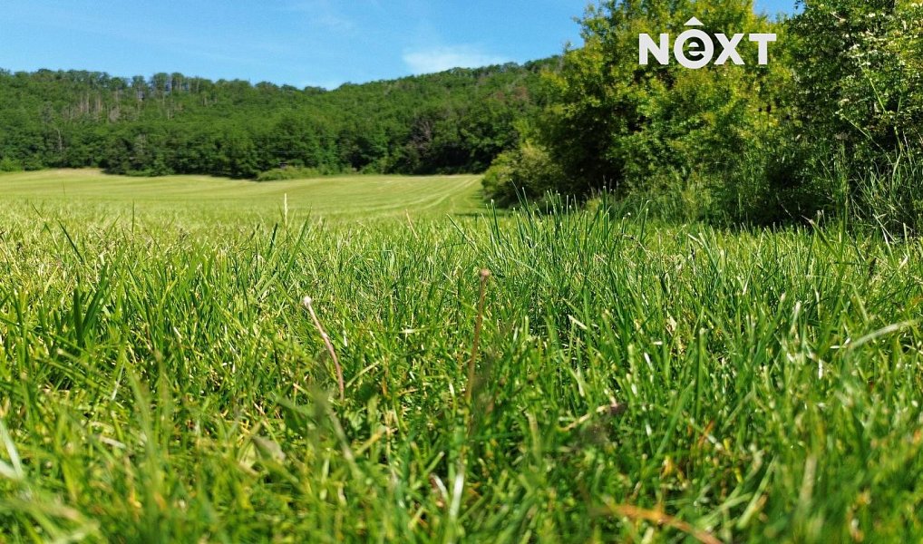 Prodej lesa 3 149 m², Chrustenice – náhled fotky 3
