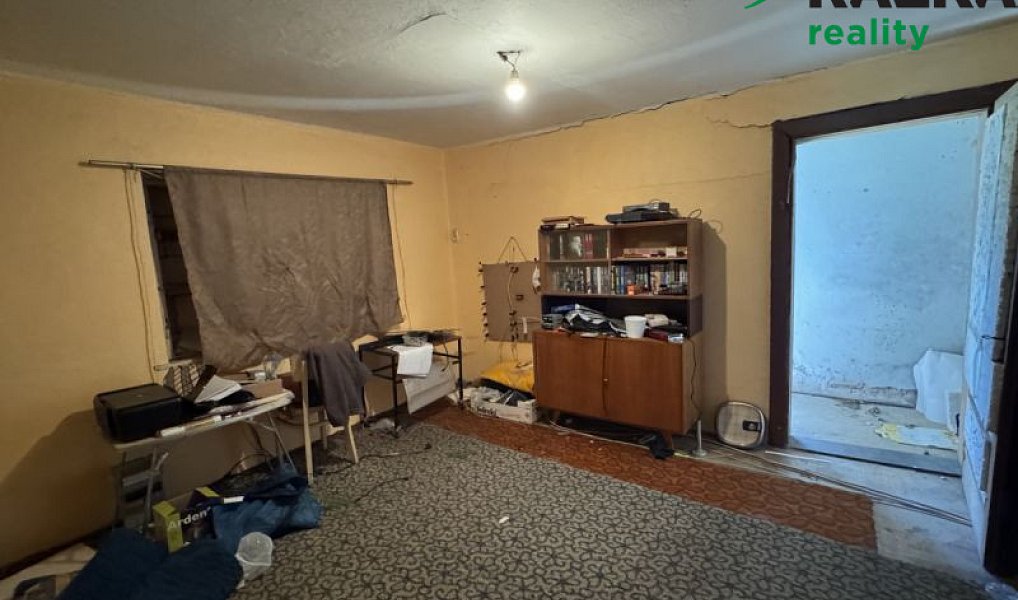 Prodej domu 160 m² s pozemkem 2 041 m², Tachov – náhled fotky 16