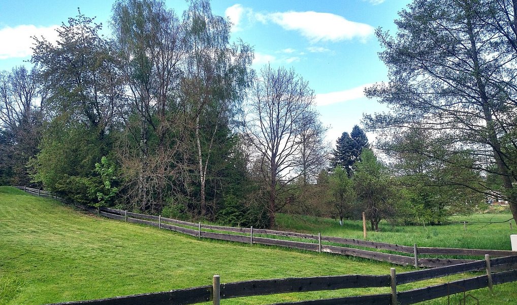 Prodej stavebního pozemku 1 342 m², Horka II – náhled fotky 2