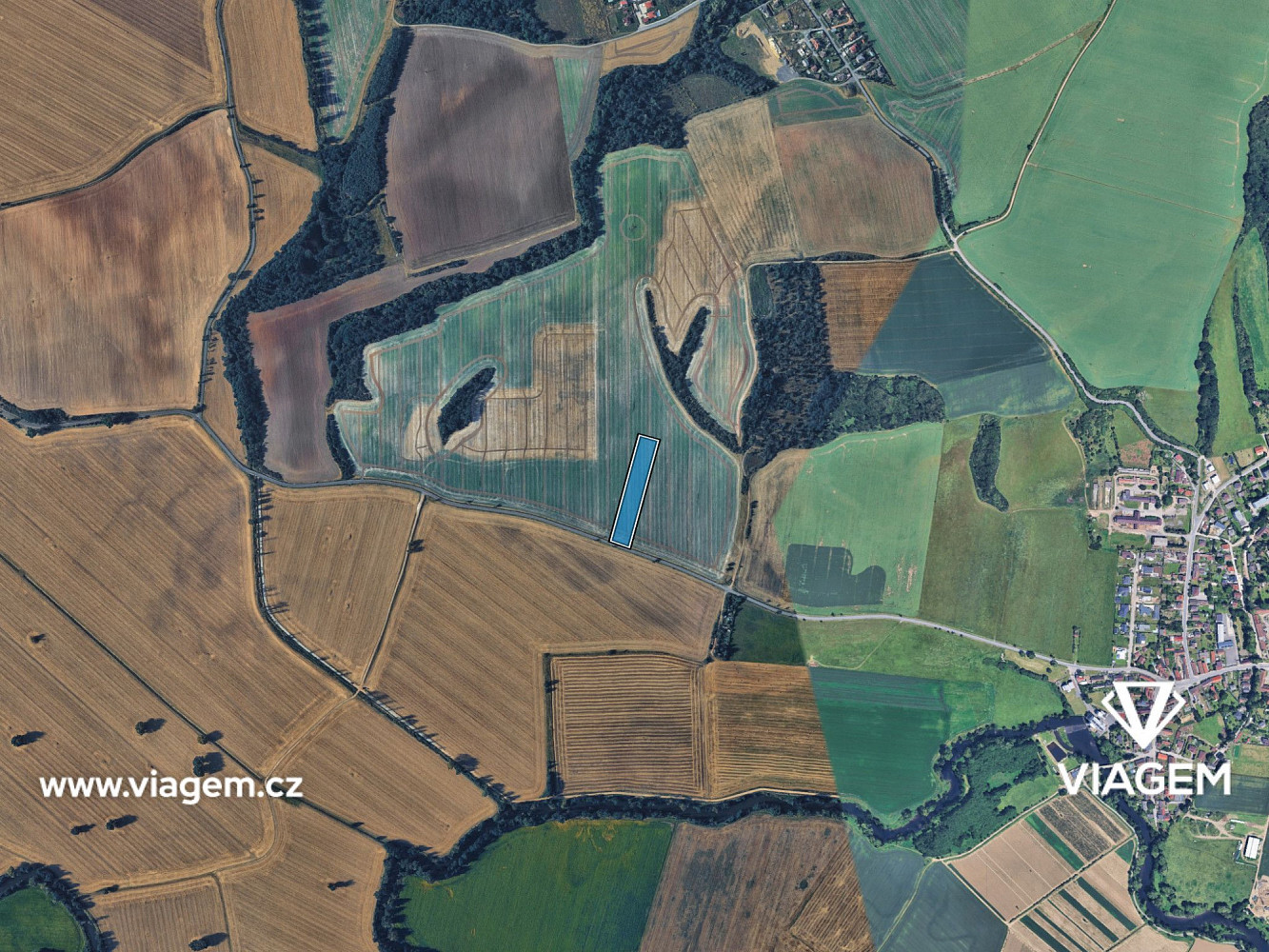 Prodej pole 1 831 m² – fotografie 3