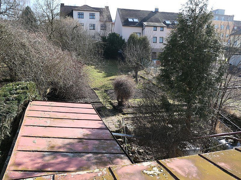 Fotka 11 z 14