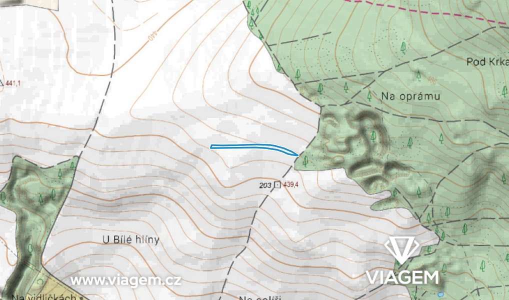 Prodej pole 960 m², Chotíkov – náhled fotky 3
