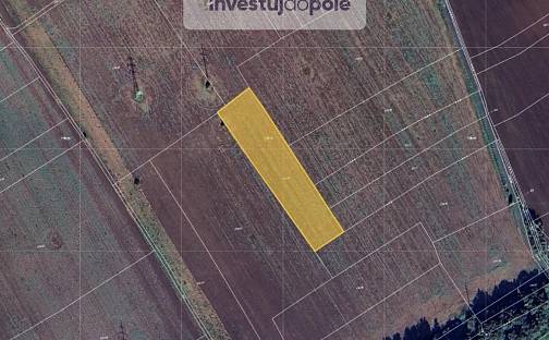 Prodej pole 1 504 m², Veltrusy, okres Mělník
