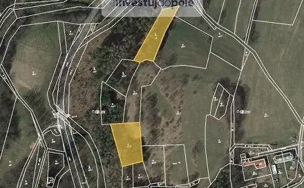 Prodej lesa 3 539 m², Proseč, okres Chrudim