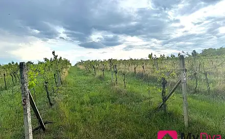 Prodej pole 7 500 m², Nový Šaldorf-Sedlešovice - Nový Šaldorf, okres Znojmo