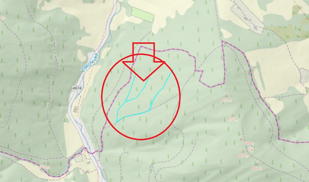 Prodej lesa 8 428 m², Nemojany – náhled fotky 9