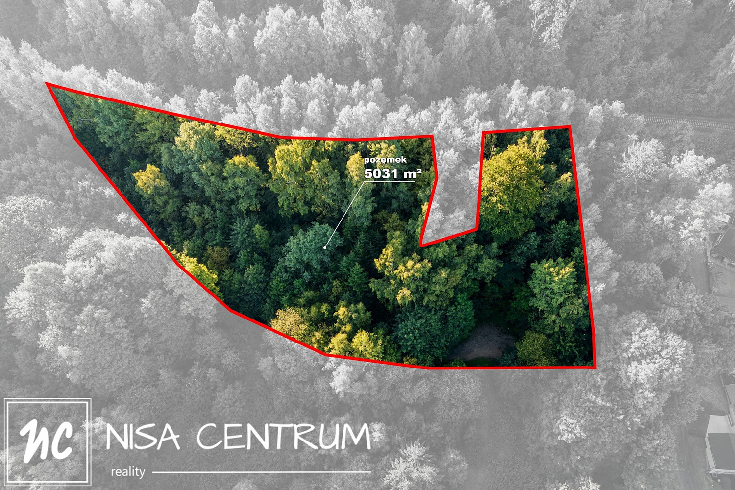 Prodej lesa 5 031 m² – pohled 2