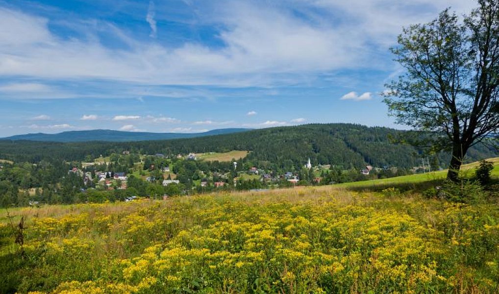 Prodej bytu 2+kk 57 m², Bedřichov – náhled fotky 35
