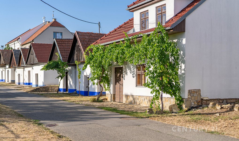 Vinný sklep 83m2, pozemky 8.420m2, Blatnice pod Svatým Antonínkem, Blatnice pod Svatým Antonínkem – náhled fotky 24