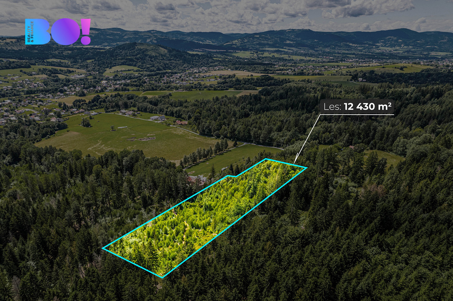 Prodej lesa 12 430 m²
