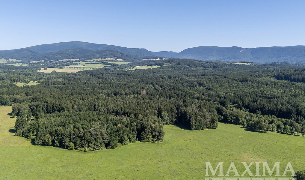 Prodej pozemku 6 397 m², Krásný Les – náhled fotky 4
