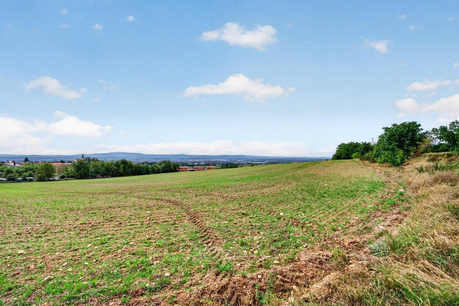 Prodej stavebního pozemku 6 520 m² – fotografie 2