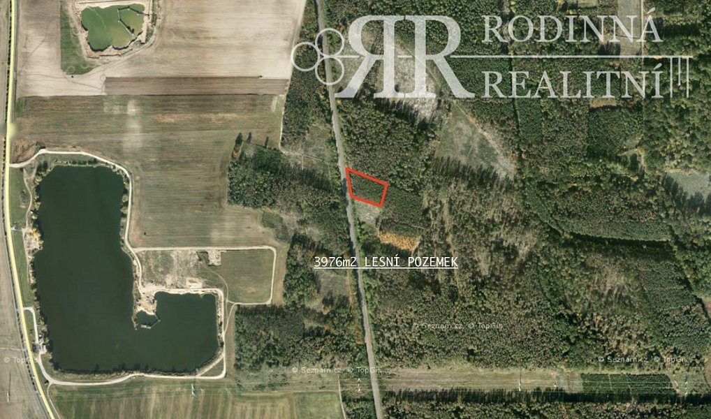 Prodej lesa 3 976 m², Ovčáry – náhled fotky 2