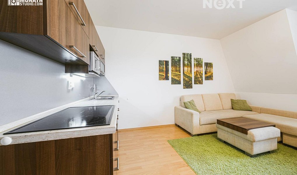 Prodej bytu 3+kk 70 m², Ostružná – náhled fotky 3