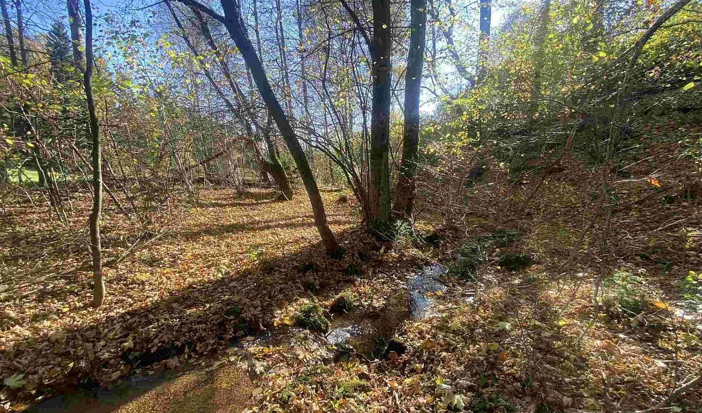 Prodej pozemku 449 m², Lučany nad Nisou – náhled fotky 4