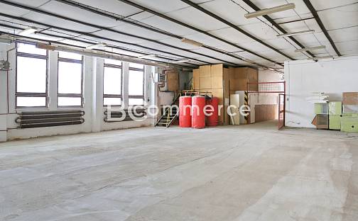 Prodej výrobních prostor 1 050 m², Nádražní, Klobouky u Brna, okres Břeclav