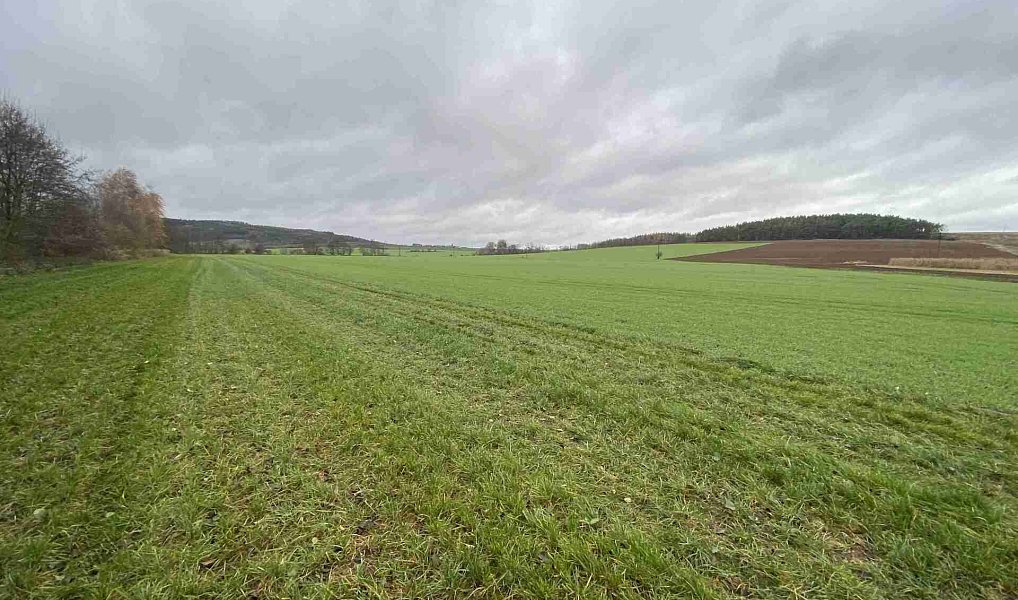 Prodej pole 19 275 m², Oráčov – náhled fotky 9