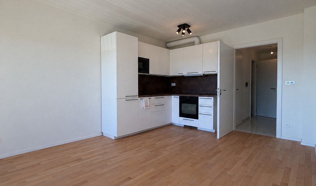 Pronájem bytu 1+kk 35 m², Praha – náhled fotky 5