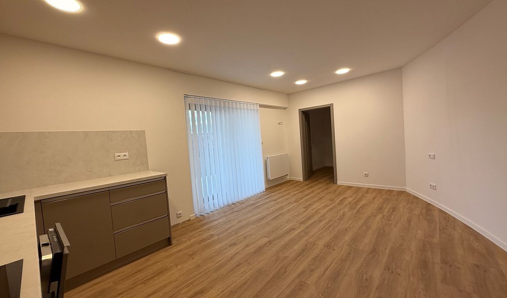 Pronájem bytu 1+kk 33 m², Ústí nad Labem – náhled fotky 4