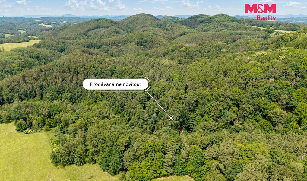 Prodej louky 13 358 m², Nosálov – náhled fotky 18