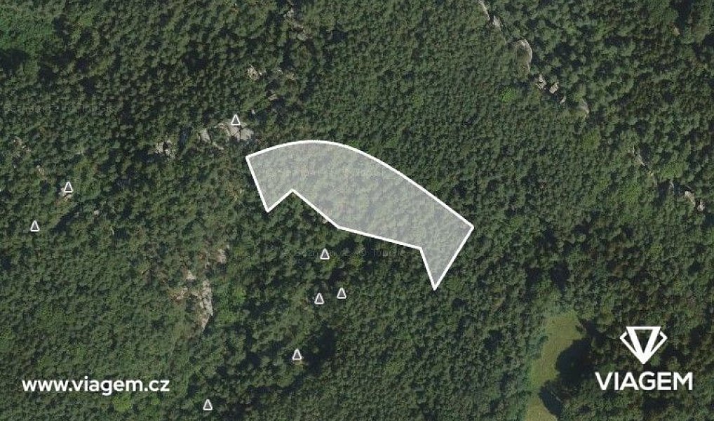 Prodej lesa 2 093 m², Mírová pod Kozákovem – náhled fotky 2