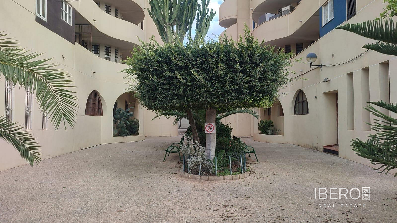 Pis 2+kk – Torrevieja, Casa Jardin, Urbanización Punta Prima - Vista 4