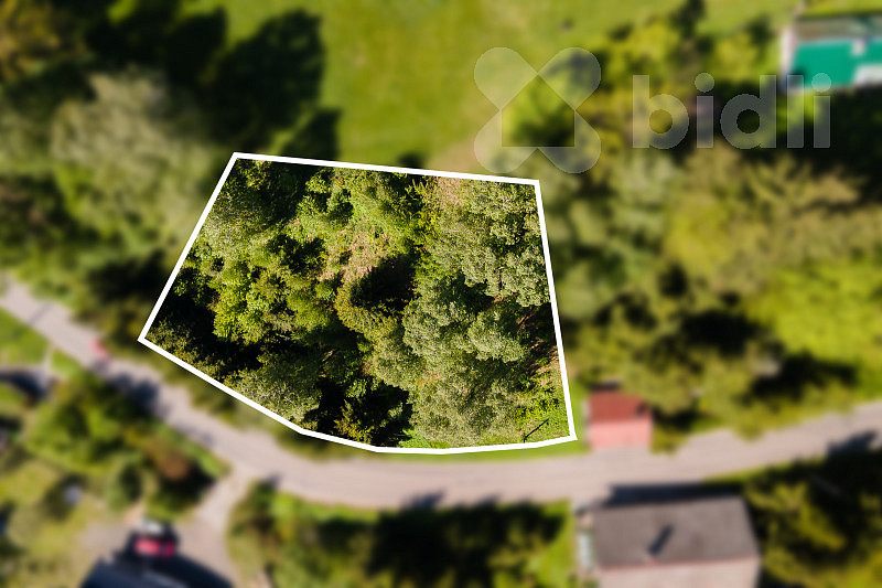 Prodej louky 3 038 m² – fotografie 3