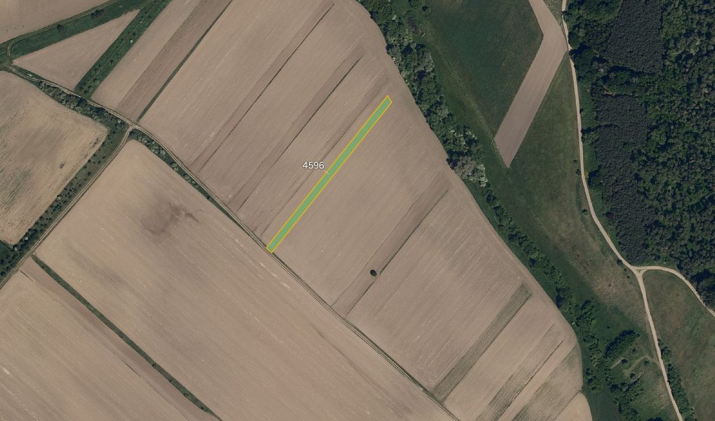 Prodej pole 3 239 m², Moravský Písek – náhled fotky 2