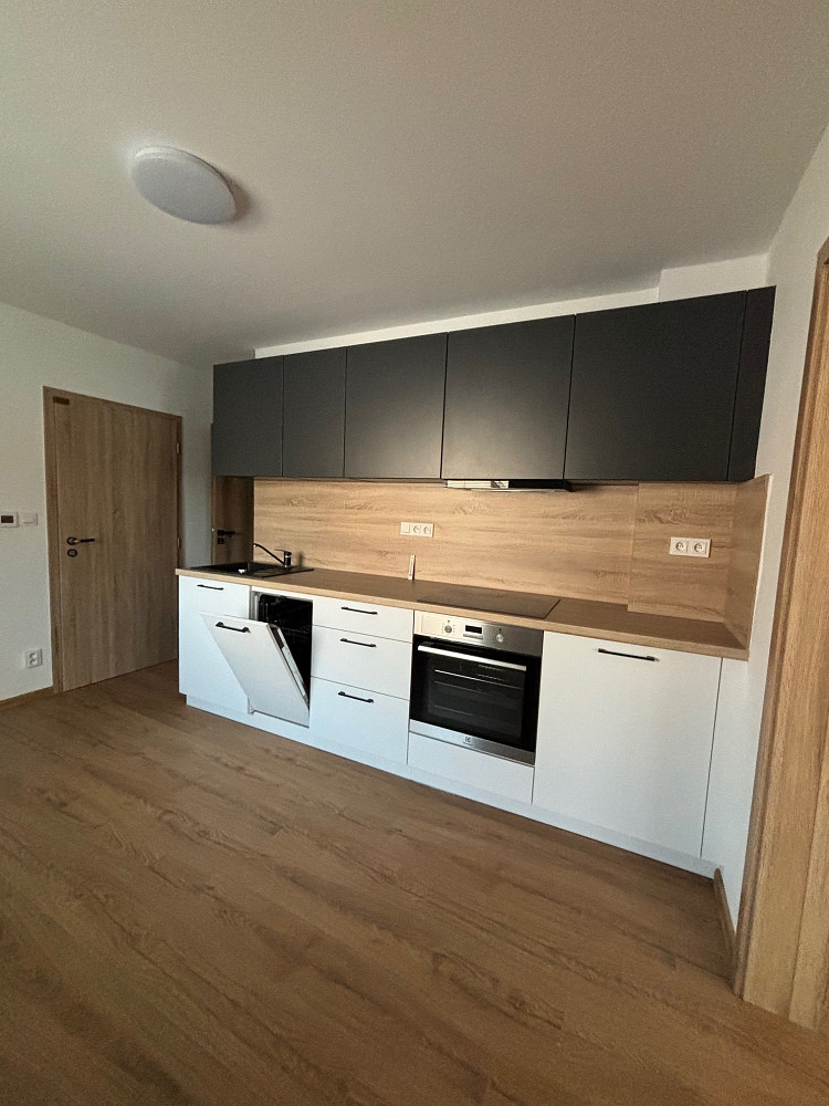 Pronájem bytu 3+1 150 m² — photo 2