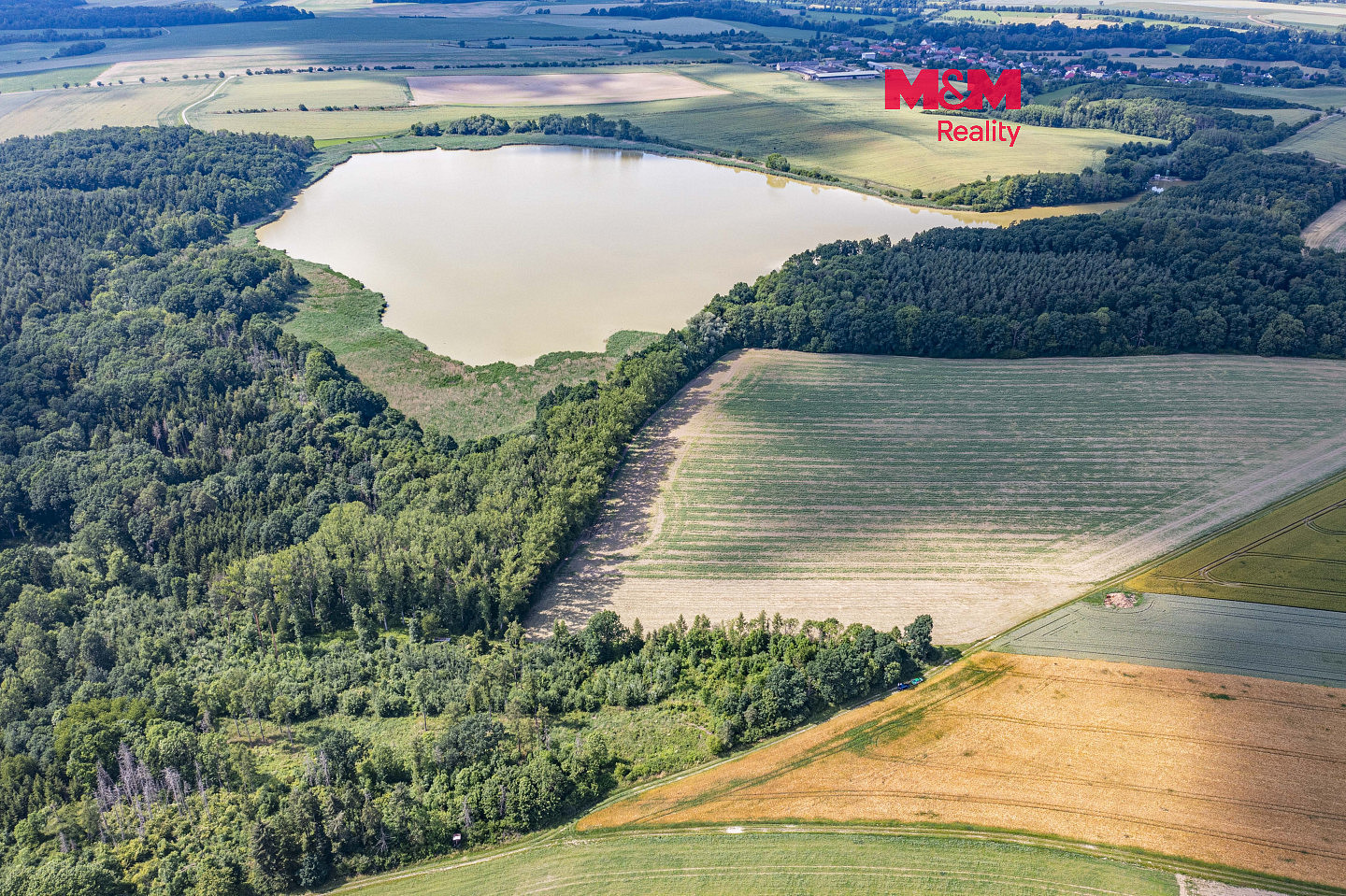 Prodej lesa 11 971 m² – fotografie 4