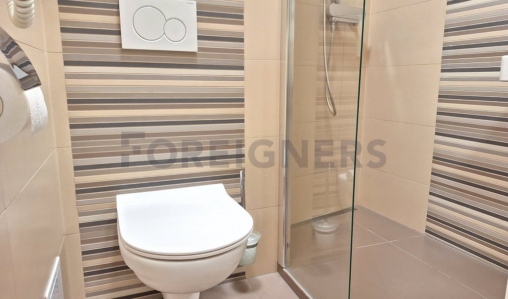 Pronájem bytu 1+1 53 m², Olomouc – náhled fotky 7