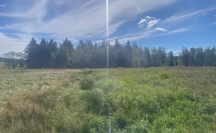 Prodej lesa 29 205 m², Borová Lada, okres Prachatice