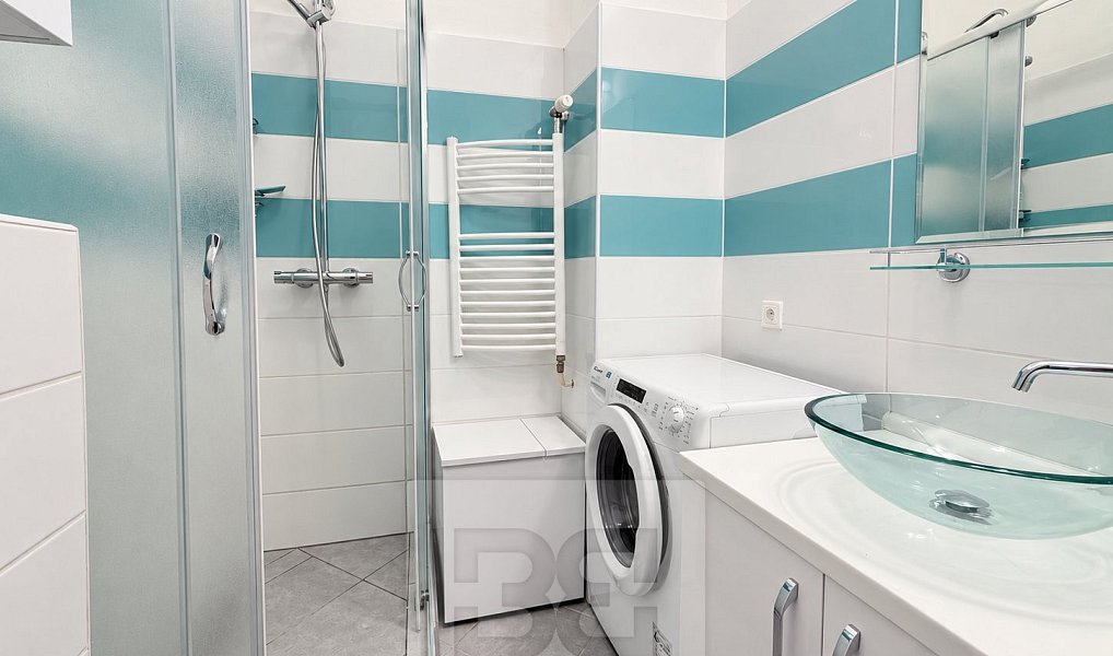 Pronájem bytu 2+1 47 m², Praha – náhled fotky 12