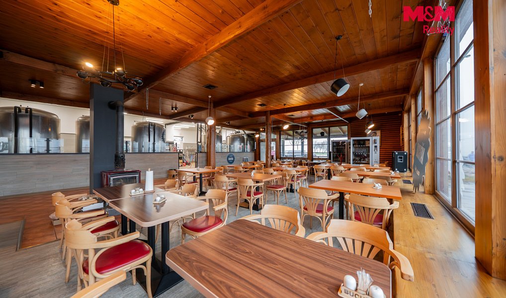 Prodej obchodních prostor 600 m², Olomouc – náhled fotky 3