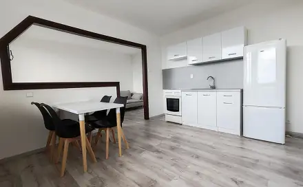 Pronájem bytu 1+1 40 m², Růžová, Most