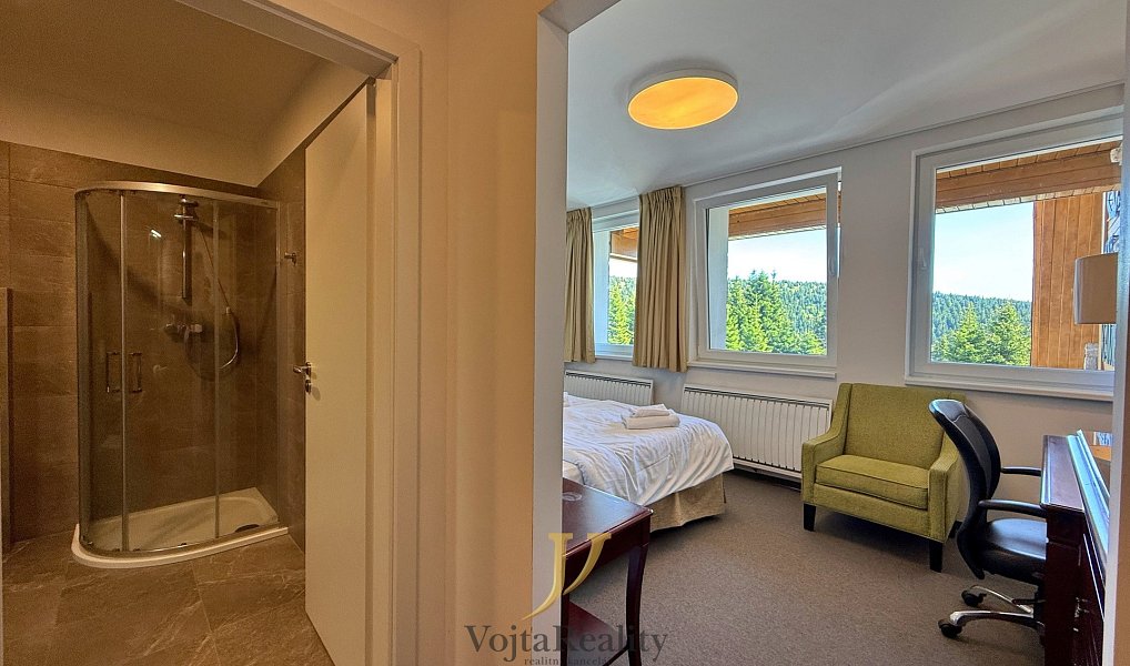 Prodej bytu 1+kk 26 m², Loučná nad Desnou – náhled fotky 5