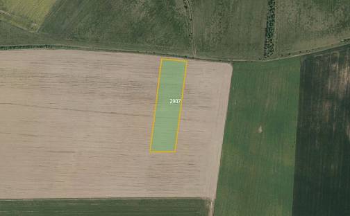 Prodej pole 10 959 m², Ronov nad Doubravou, okres Chrudim