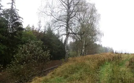 Dražba louky 7 060 m², Dačice