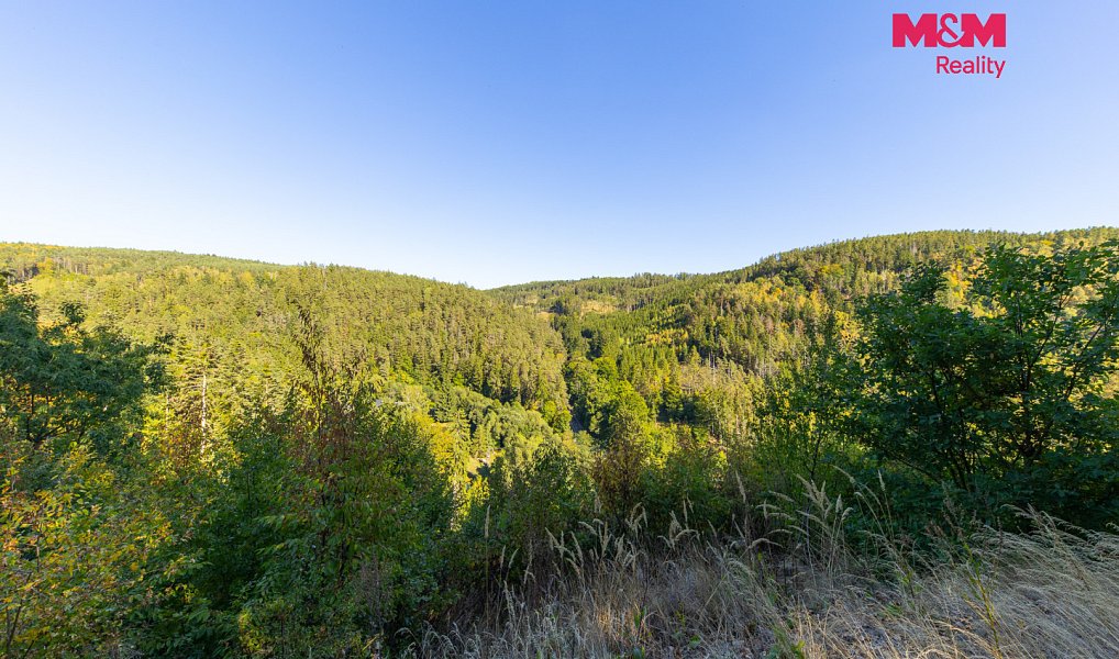 Prodej lesa 7 450 m², Lomnice – náhled fotky 5