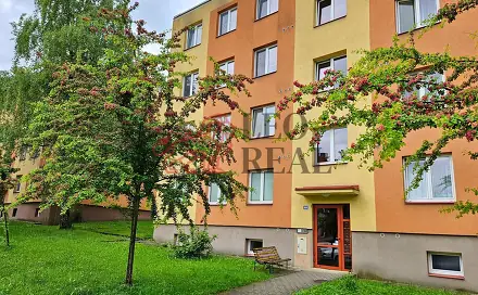 Pronájem bytu 3+1 61 m²