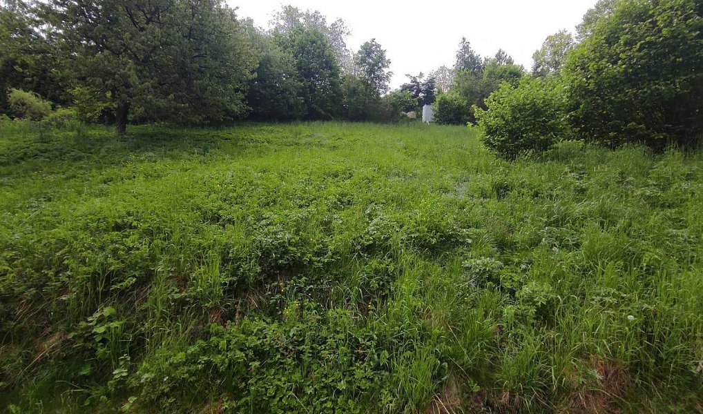 Prodej stavebního pozemku 1 871 m², Javorník – náhled fotky 4