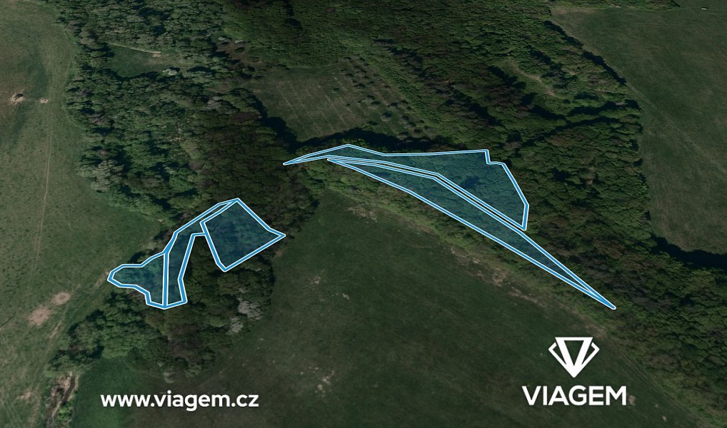 Prodej lesa 2 999 m², Bohuslavice nad Vláří – náhled fotky 2